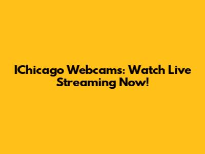 IChicago Webcams: Watch Live Streaming Now!