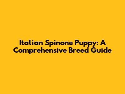 Italian Spinone Puppy: A Comprehensive Breed Guide
