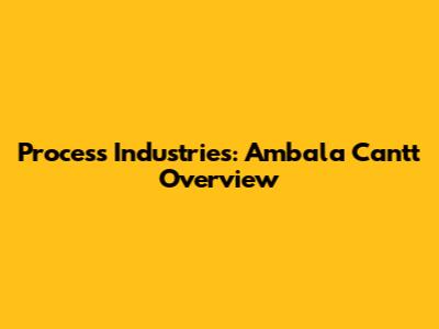 Process Industries: Ambala Cantt Overview