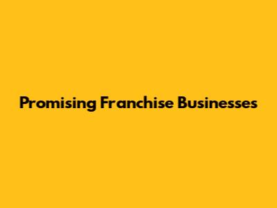 Promising Franchise Businesses